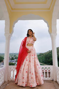 Calcite Pink Lehenga Set